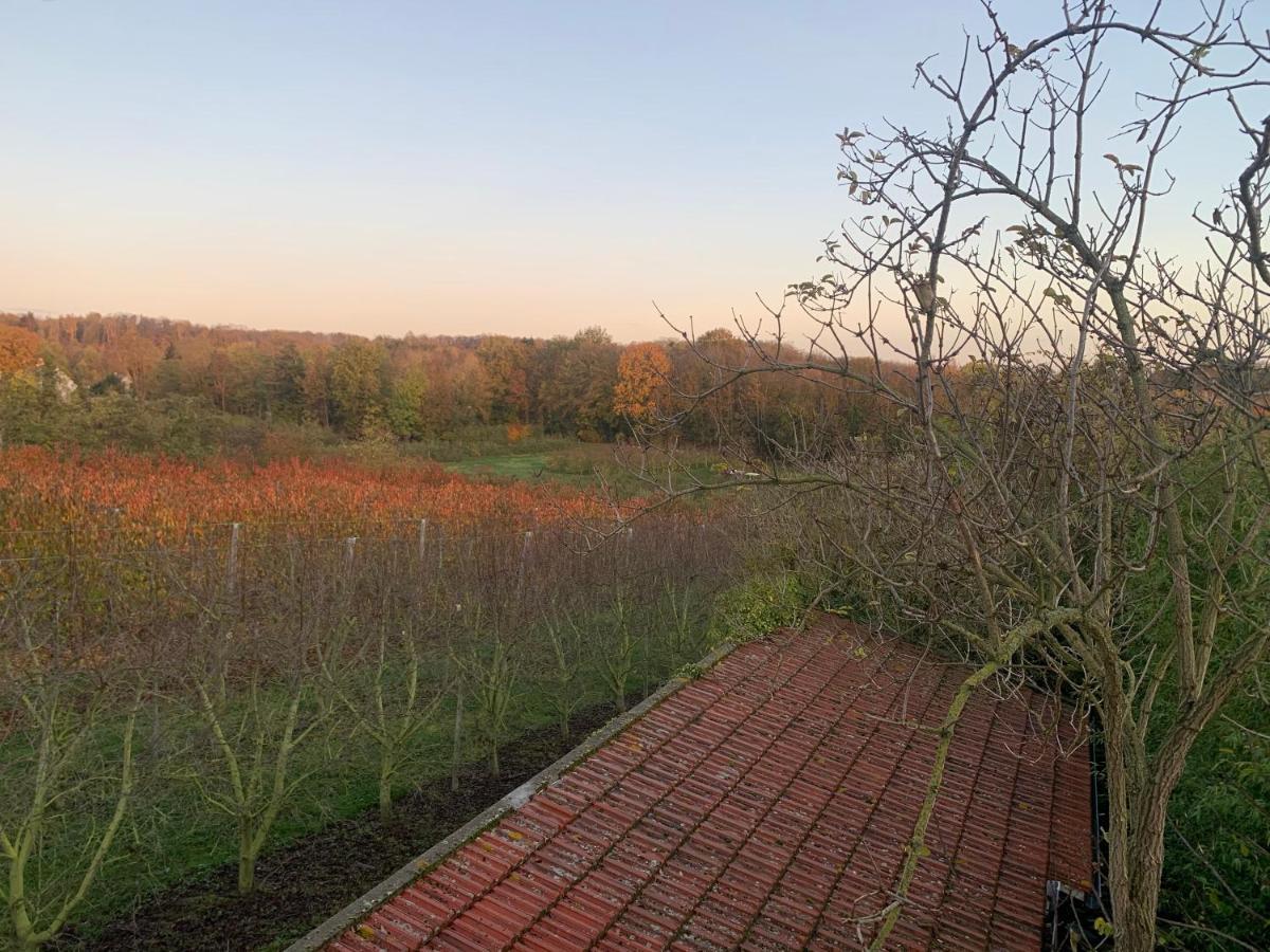 Vila Mon Repos Saint-Brice-sous-Forêt Exteriér fotografie
